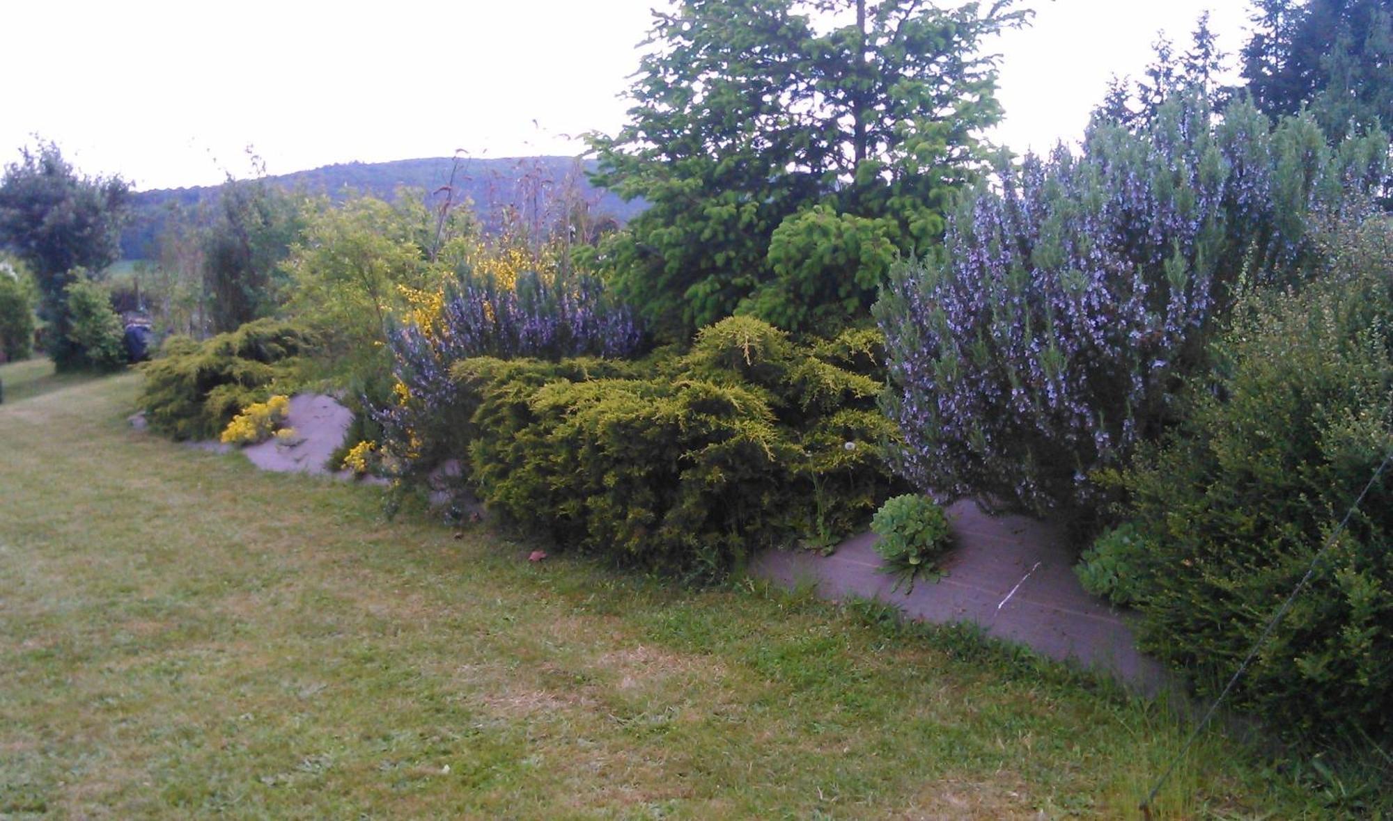 Maison d'hôtes Les Bruyères Gandelain Esterno foto