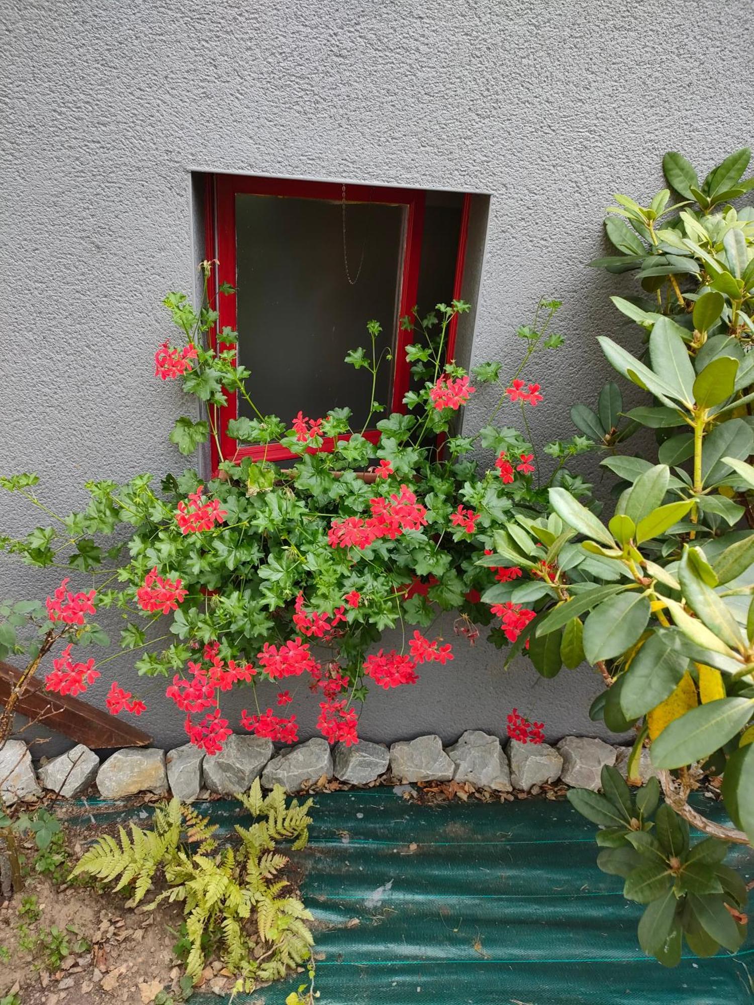Maison d'hôtes Les Bruyères Gandelain Esterno foto