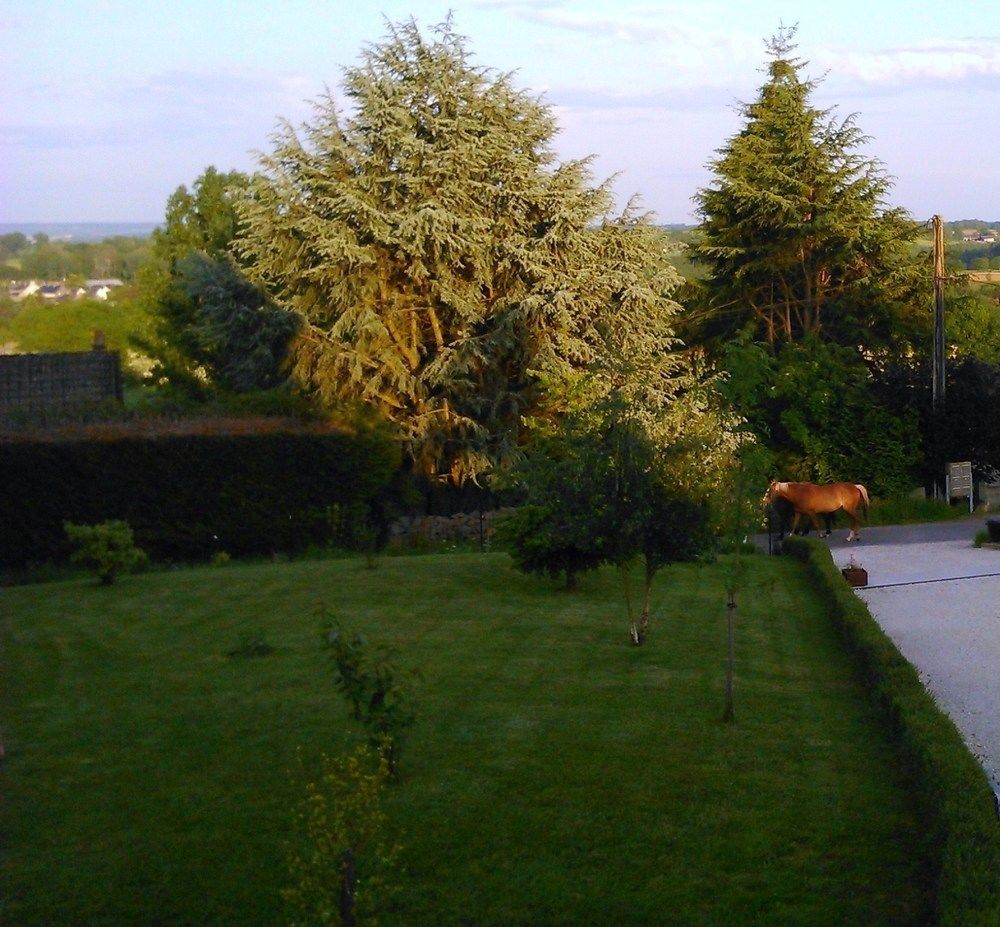 Maison d'hôtes Les Bruyères Gandelain Esterno foto